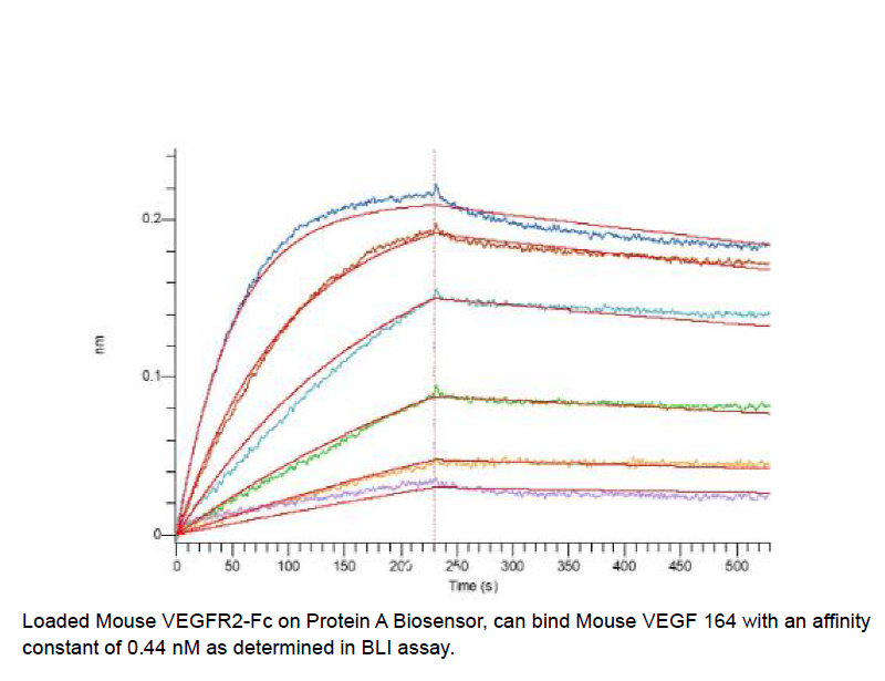 Procell-VEGF-A/ VEGF164, Mouse, Recombinant