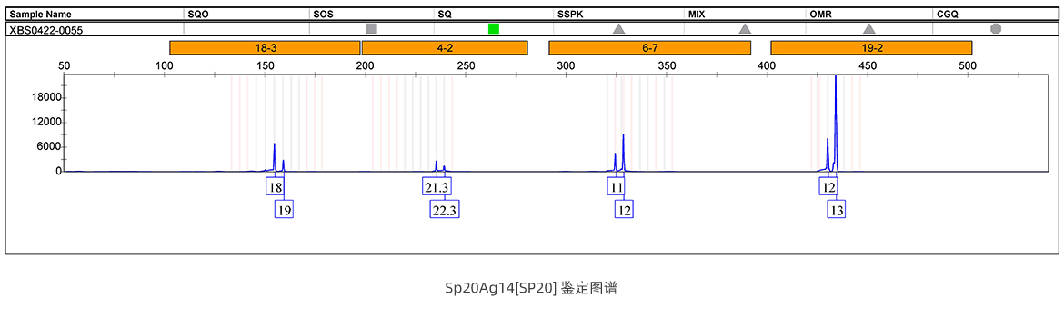 Sp20Ag14[SP20] 鉴定图谱