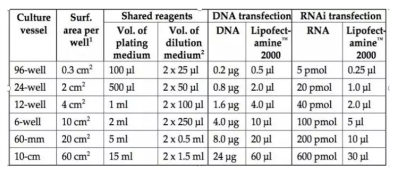 不同规格的培养板需要加DNA和lipo2000的量