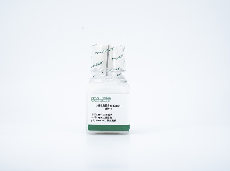 L-谷氨酰胺溶液（200mM），100×