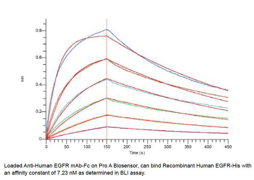 Procell-EGFR/ ErbB1/ HER1 (C-6His), Human, Recombinant