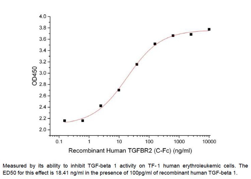 Procell-TGFβR2/ TGFBR2, Human, Recombinant