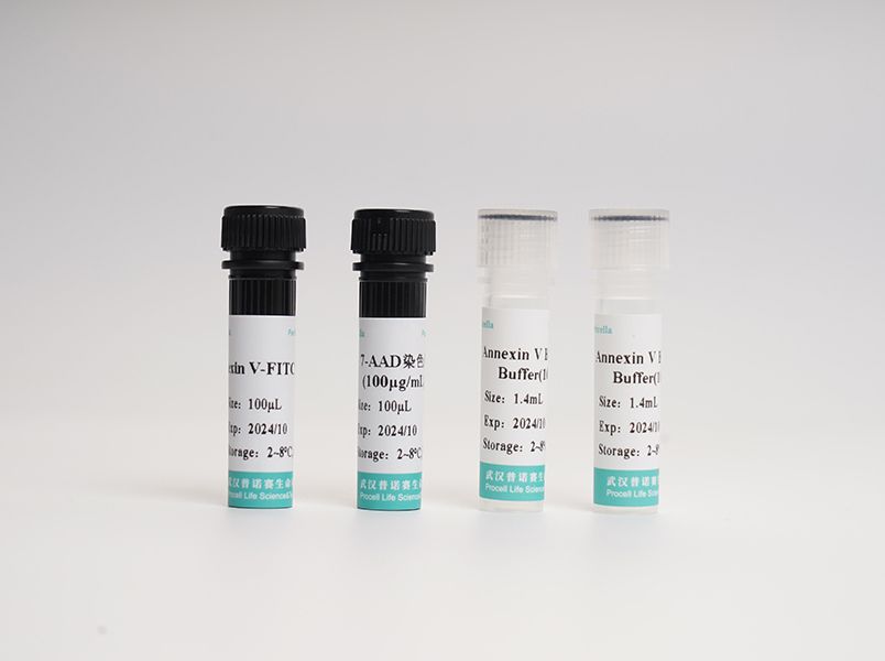 Annexin V-FITC/7-AAD荧光双染细胞凋亡检测试剂盒
