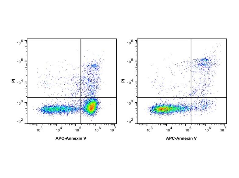 Annexin V-APC/PI荧光双染细胞凋亡检测试剂盒