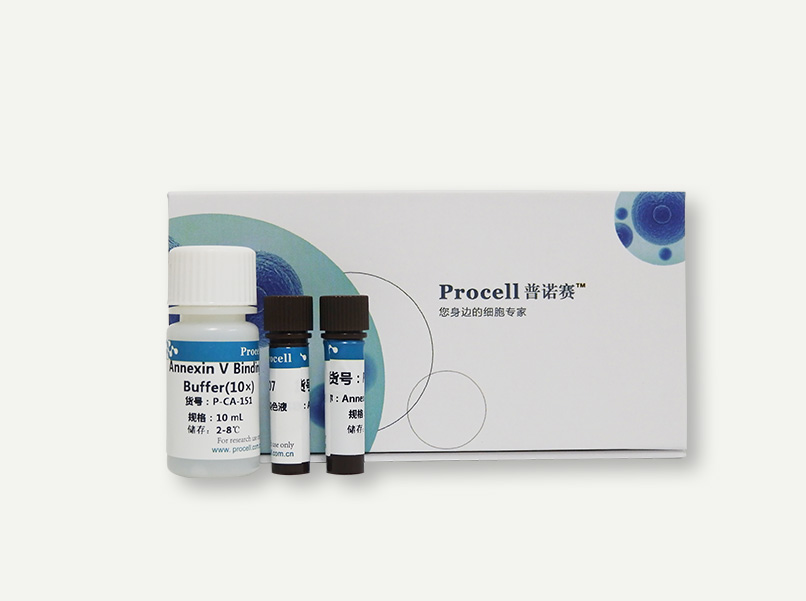 Annexin V-PE/ 7-AAD荧光双染细胞凋亡检测试剂盒