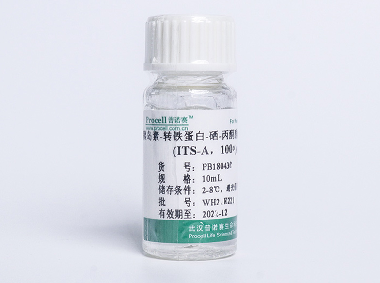 胰岛素-转铁蛋白-硒-丙酮酸钠添加剂(ITS-A), 100×