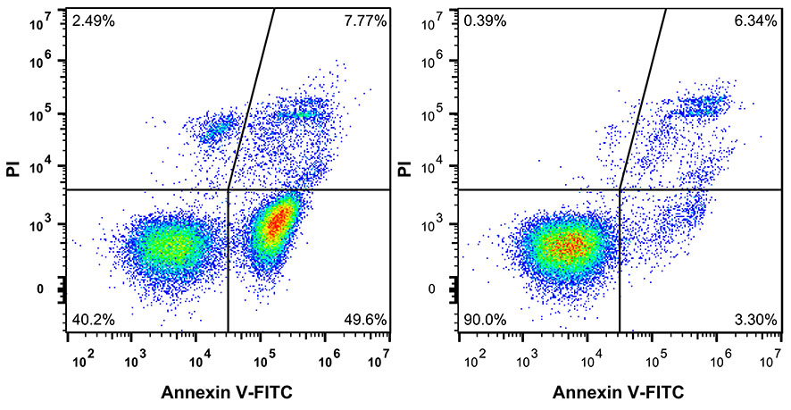 细胞用FITC-Annexin V / PI荧光双染细胞凋亡检测试剂盒检测效果图